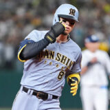 サトテルがWBC選ばれる可能性ってあると思うか？